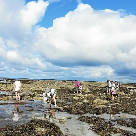 Duplex T3 Avec Terrasse Au Coeur De - Fr-1-361-566 דירה *