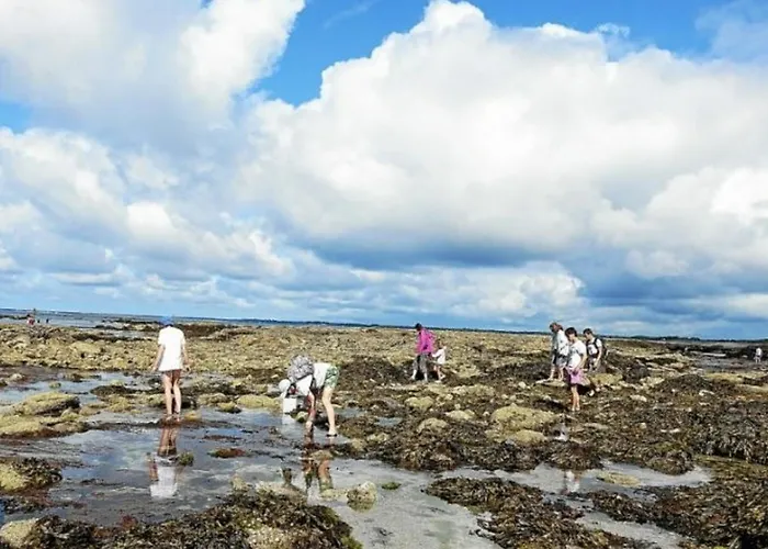 Duplex T3 Avec Terrasse Au Coeur De - Fr-1-361-566 アパート *